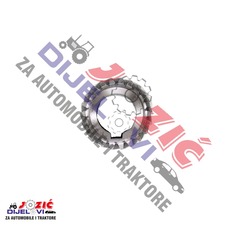 Daisy on the Ohoopee